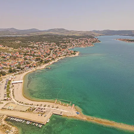 Olea * Brodarica (Sibenik-Knin)